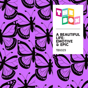 女子下部欣赏SSSBBW
